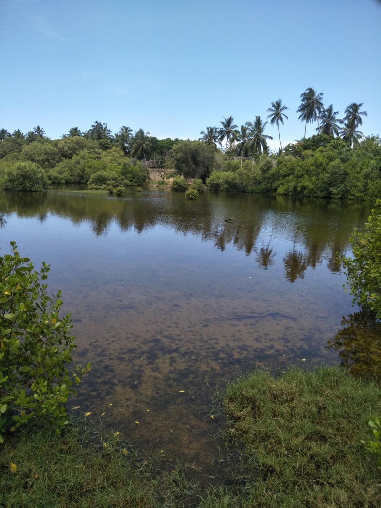 Rock Pool Residence Тангалла Экстерьер фото