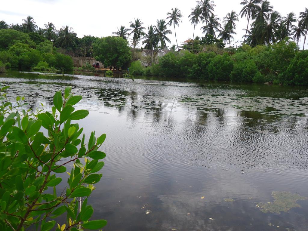 Rock Pool Residence Тангалла Экстерьер фото