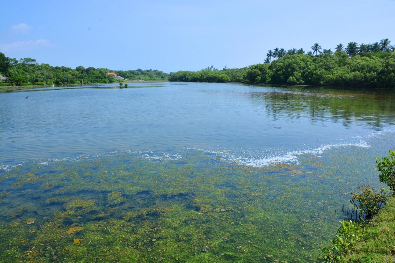 Rock Pool Residence Тангалла Экстерьер фото