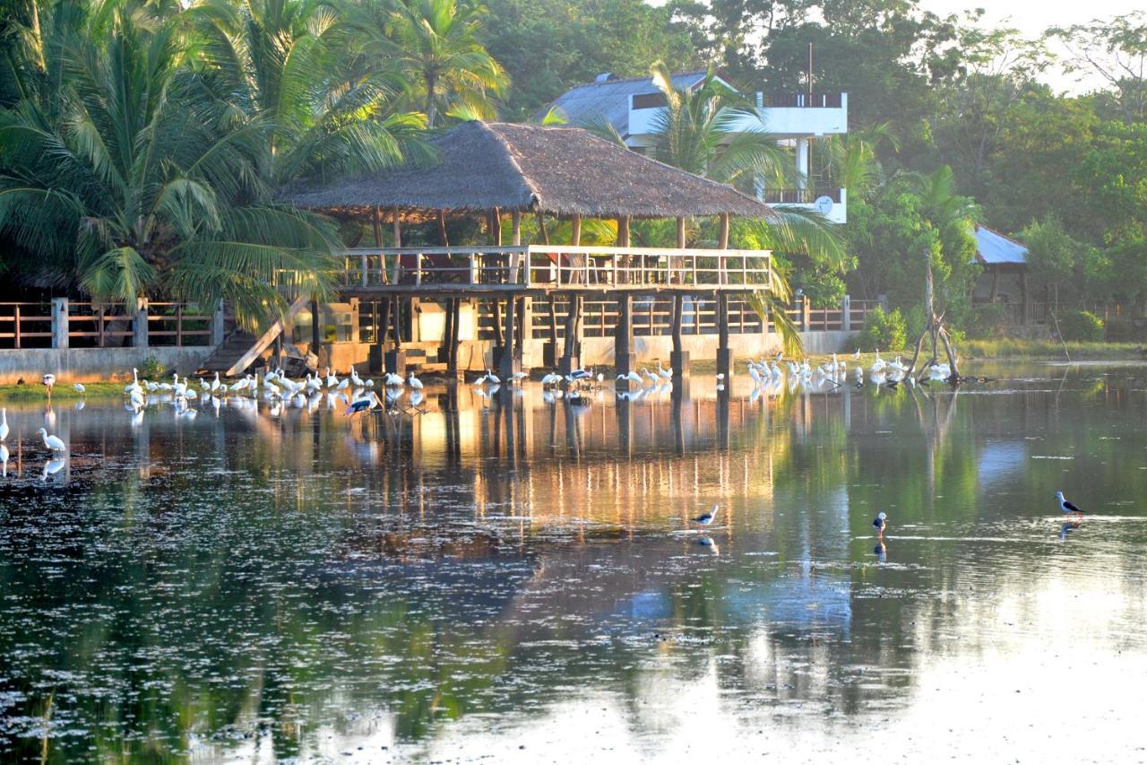 Rock Pool Residence Тангалла Экстерьер фото